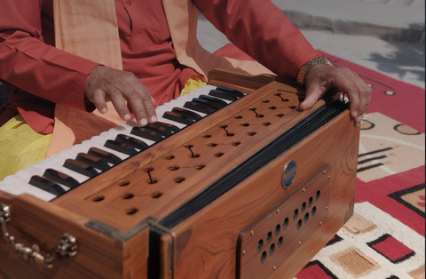 Harmonium Player