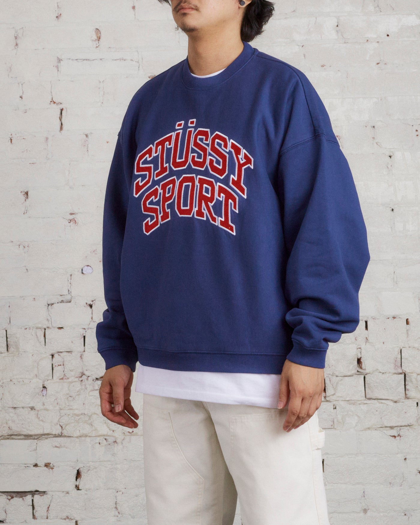 STUSSY RELAXED OVERSIZED CREW 22AW スウェット | qms-certification.com