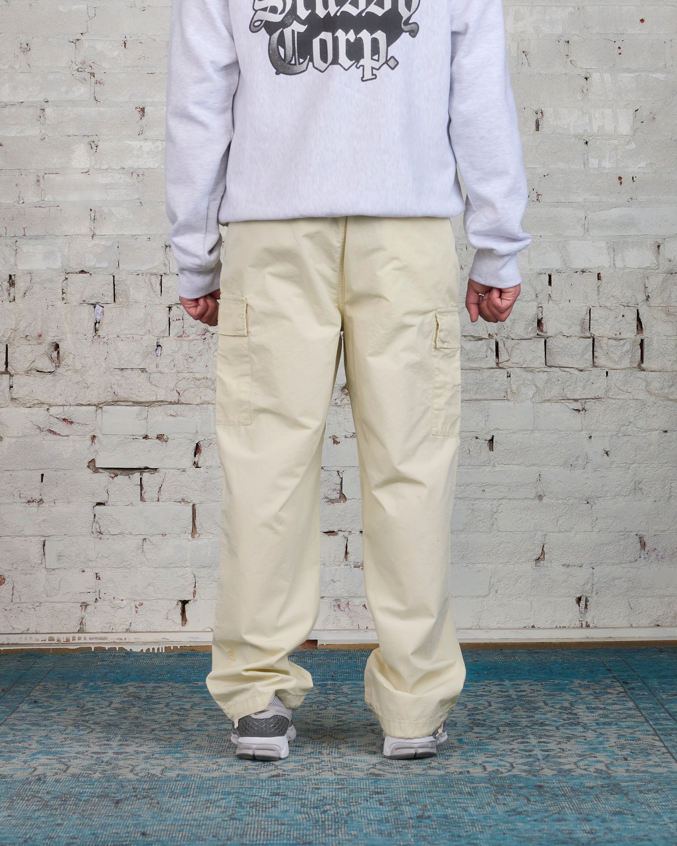 くすみ水色 stussy2023SS RIPSTOP CARGO BEACH PANT | medicine.hiro ...