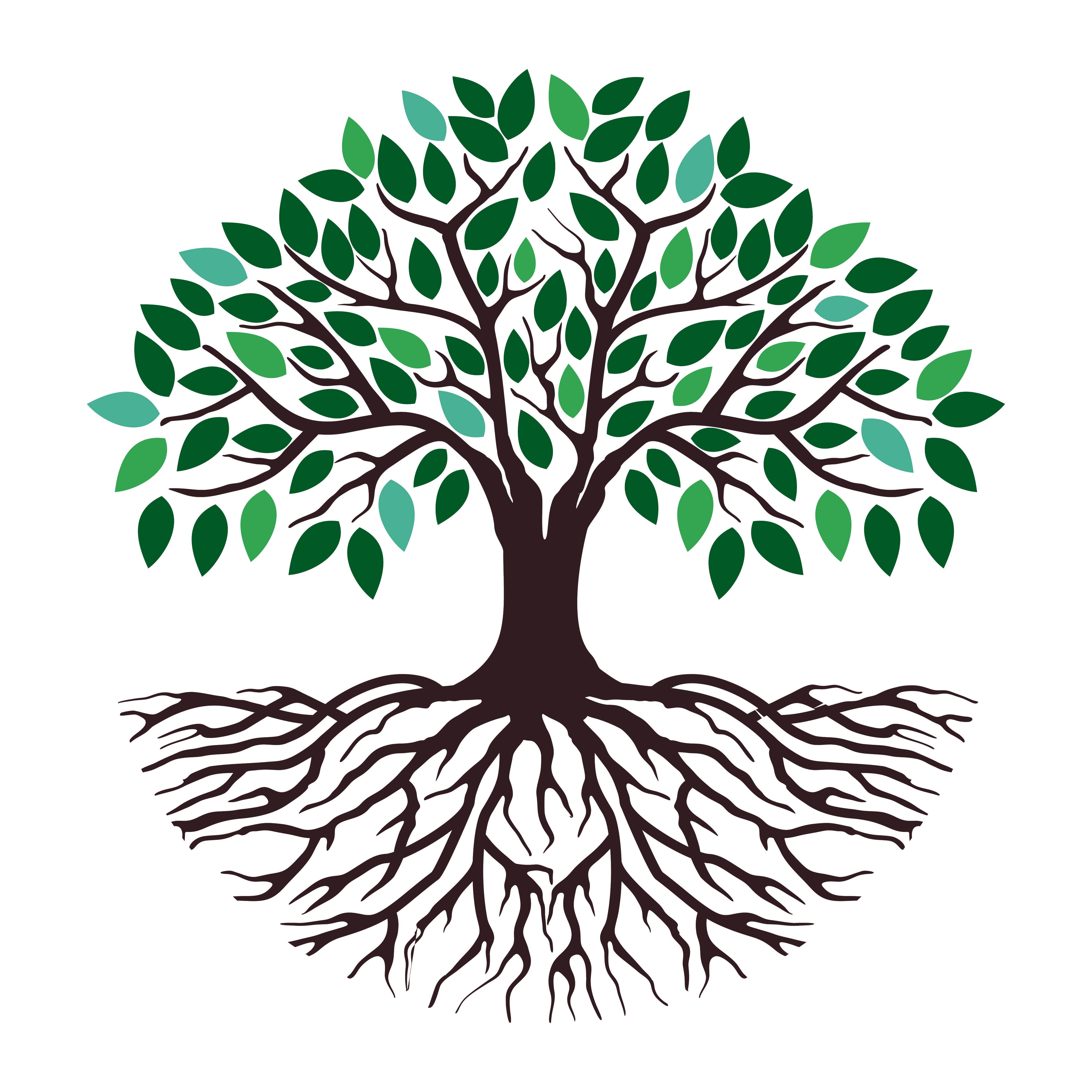 tree of life vector drawing