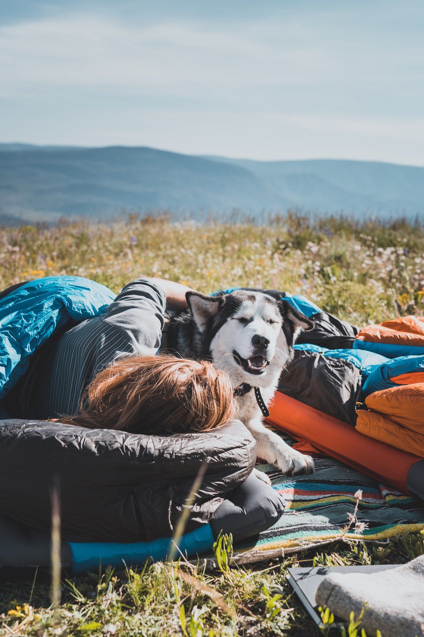 Hiking & Camping With Your Dog – Zenbivy