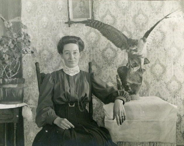 Lady with Stuffed Bird - Bolling & Company
