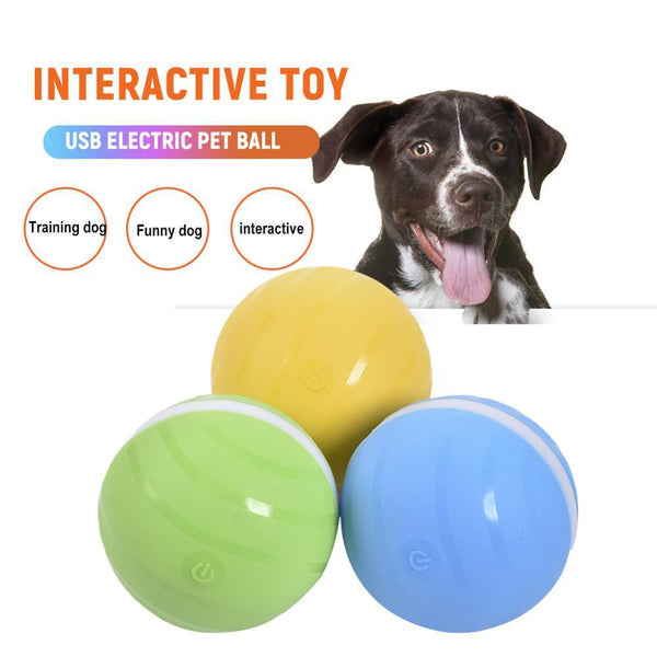 smart ball pet toy