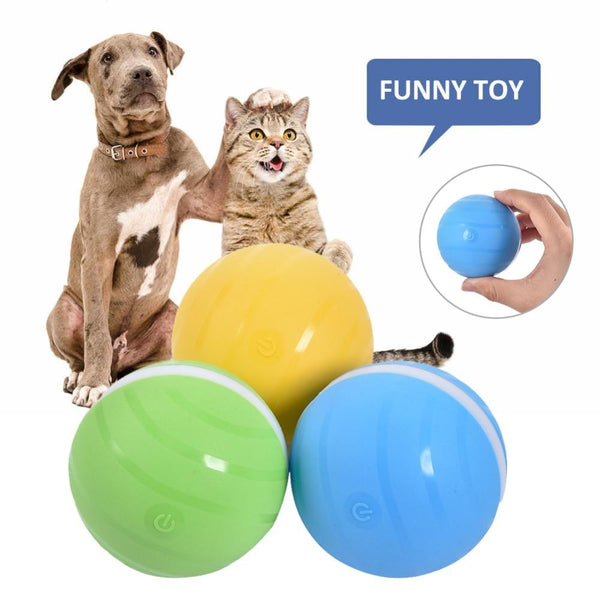 smart ball pet toy