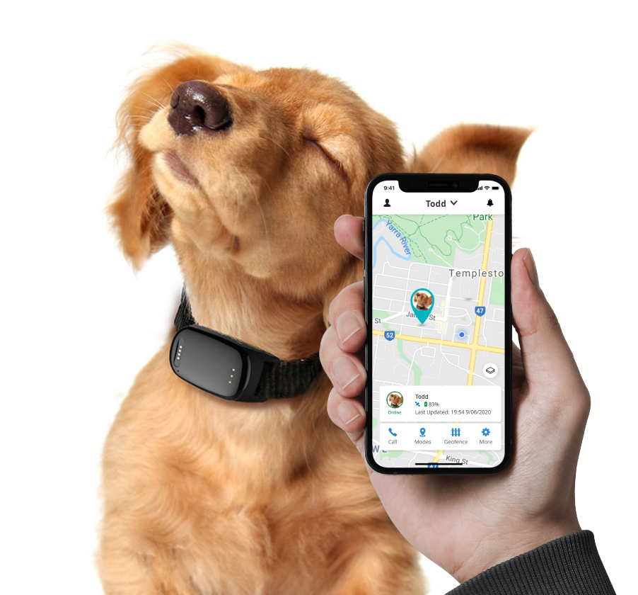 can you get a tracker for your dog