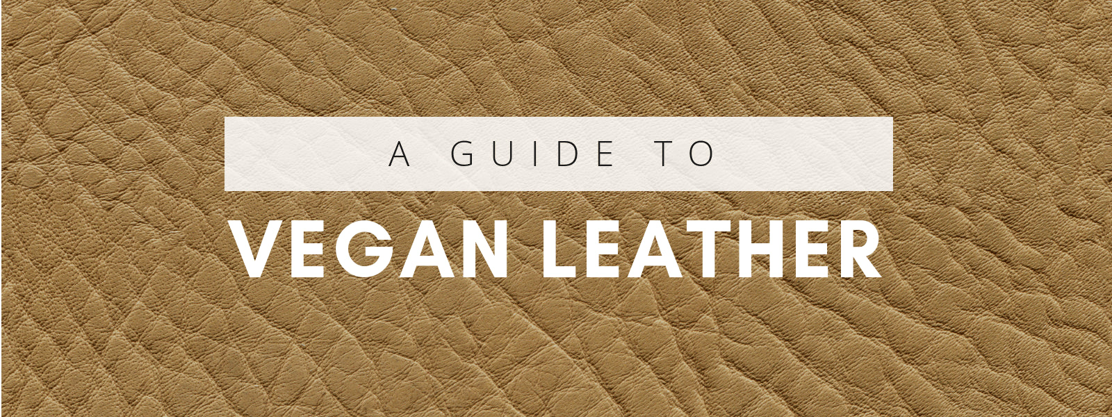 is leather vegan