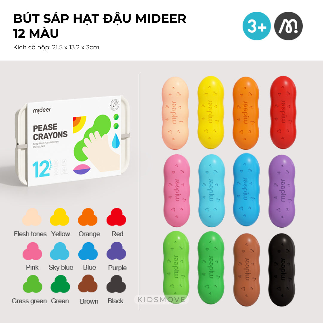 Bút sáp hạt đậu Mideer