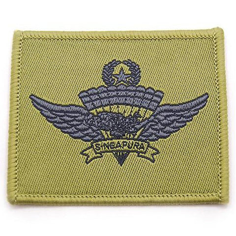 combat freefall badge india