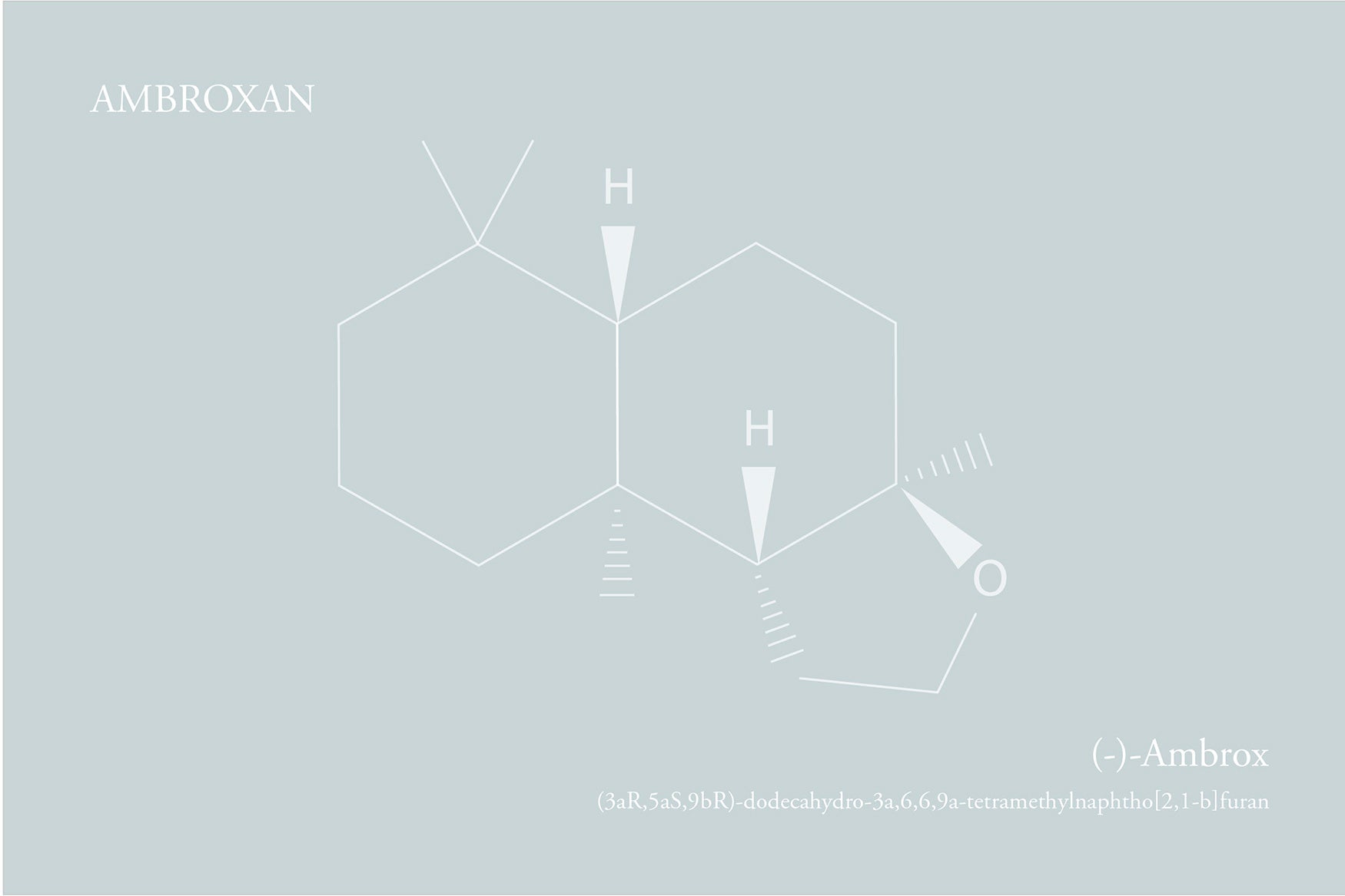 Ambroxan formule - Histoires de Parfums