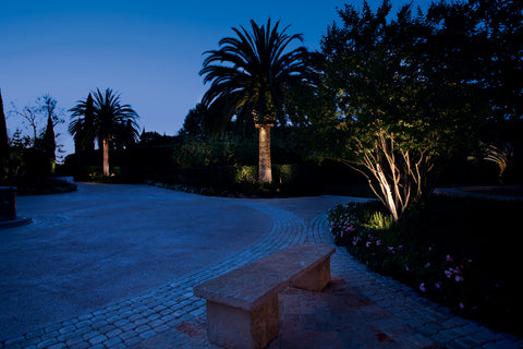 Accent Lights on trees