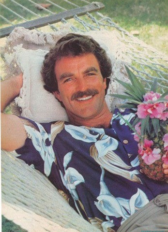 Tom Selleck Needs A New Hammock – Trek Light