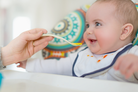 Baby Spring Food Recipes