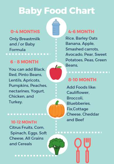 Baby Food Chart 8 10 Months