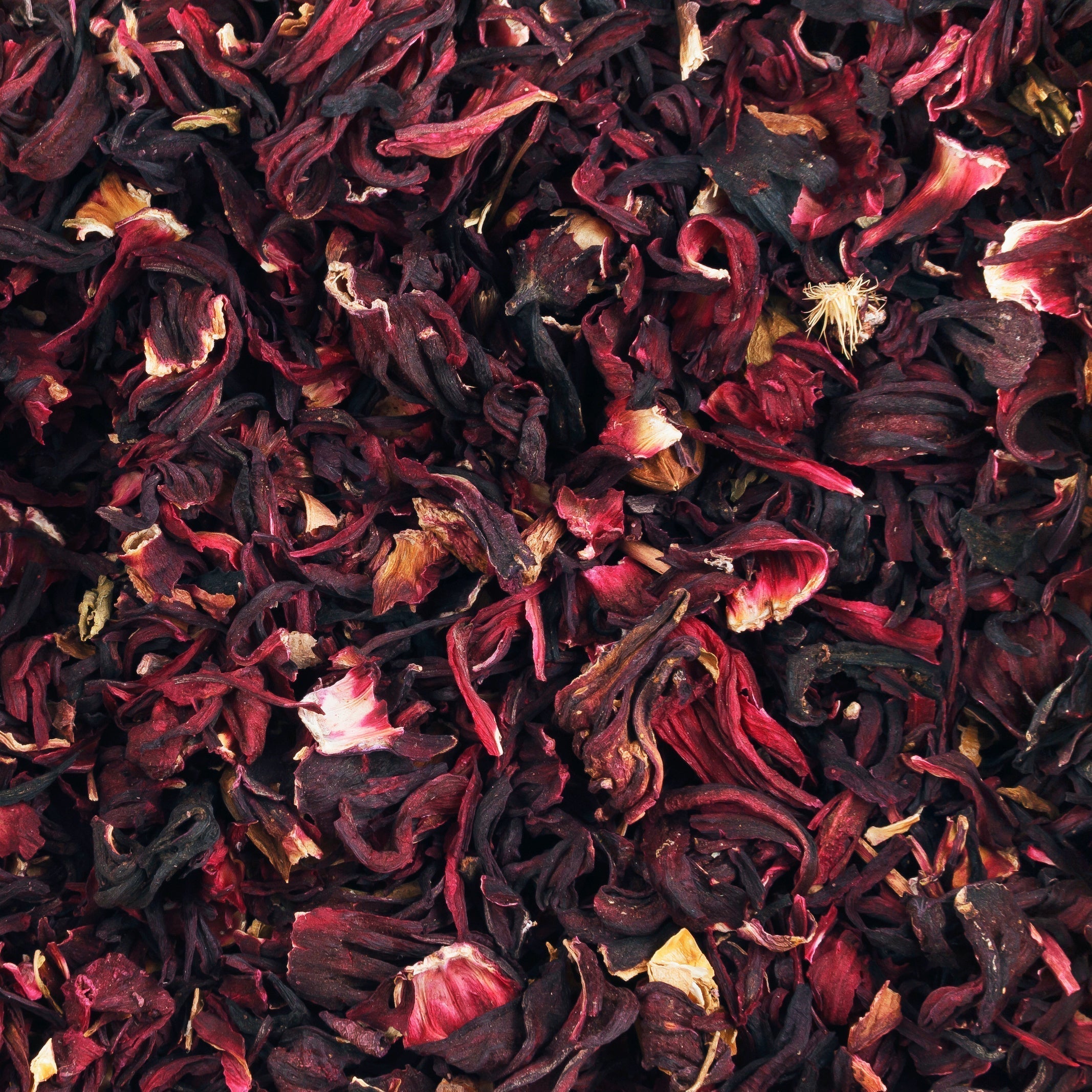 Hibiscus Flower — Tea Grotto