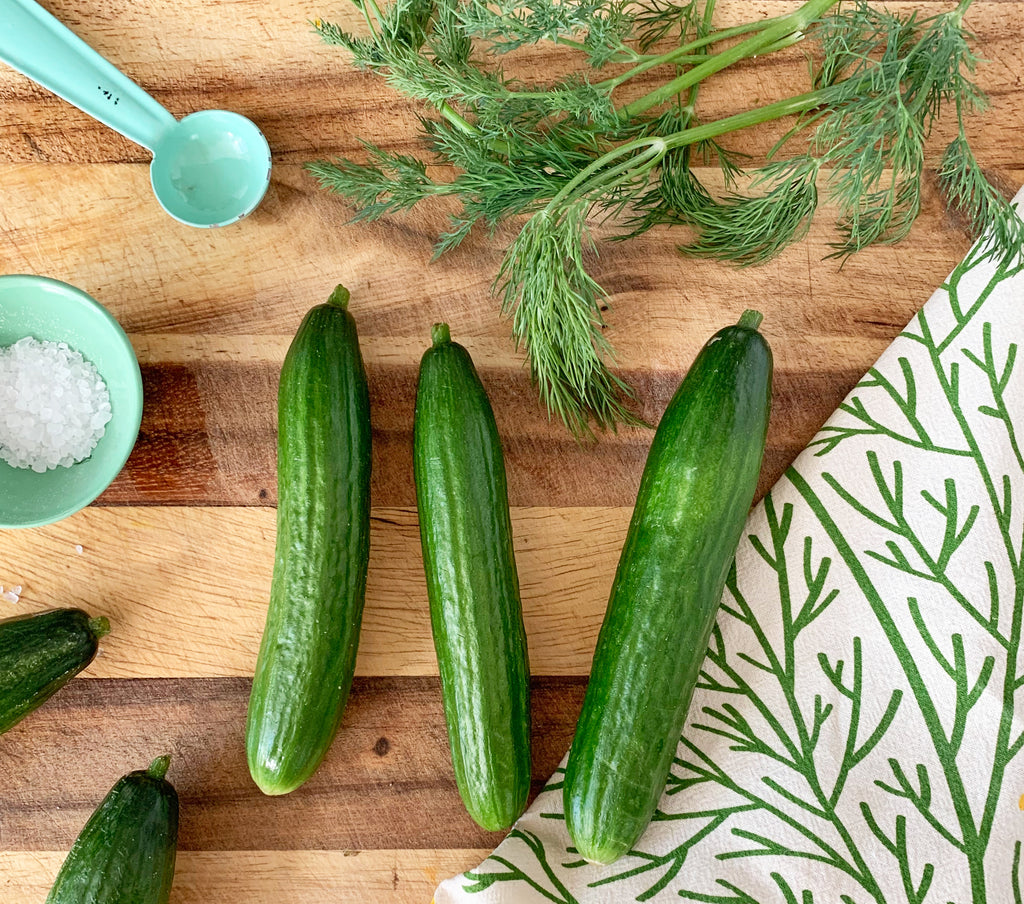 Dill herbs and cucumbers