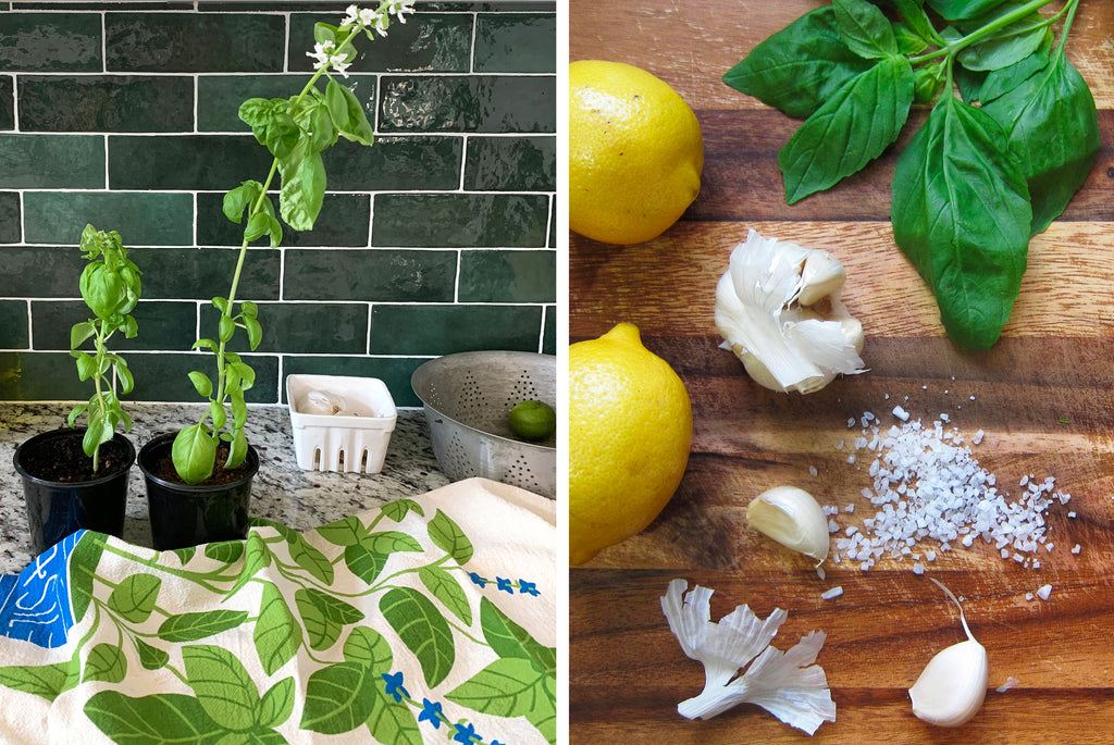 Two basil plants planted by a basil dish towel. 