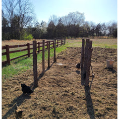 Repurposed cedar logs used for the wire support trellis