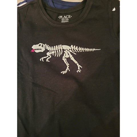 Custom kid's shirt for dinosaur lover