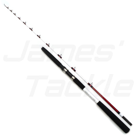 SUPER DEEP CRUISER II Deep Bottom Fishing Rod – James' Tackle