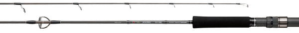 tailwalk - Master Build Jigging Rod S55H – James' Tackle