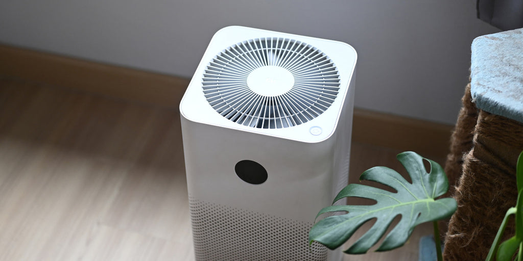 What is a Dehumidifier and How Does it Work?