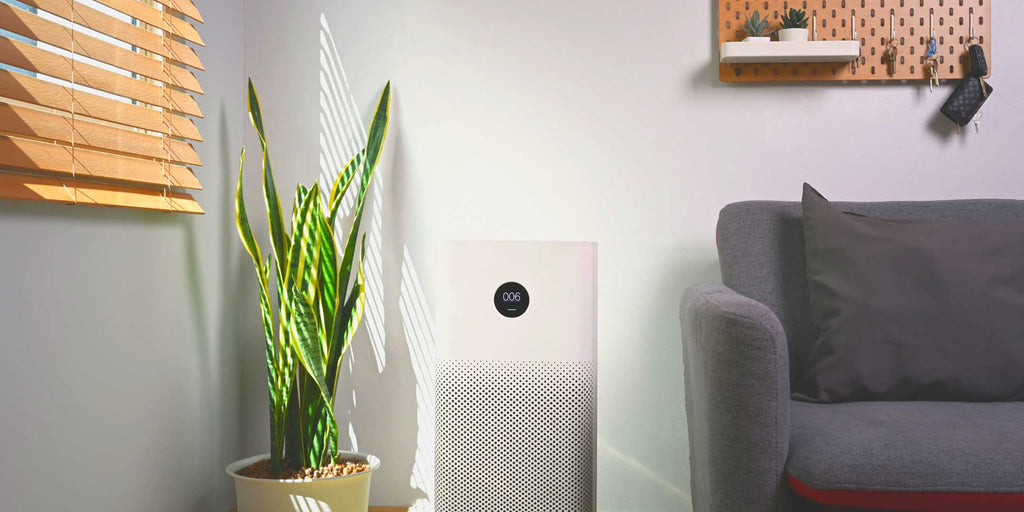 What is an Air Purifier?