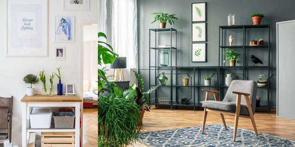 Welcome Indoor Plants for a Better Air Quality