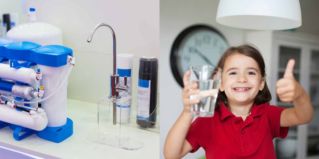 What are the Types of Water Purifiers?