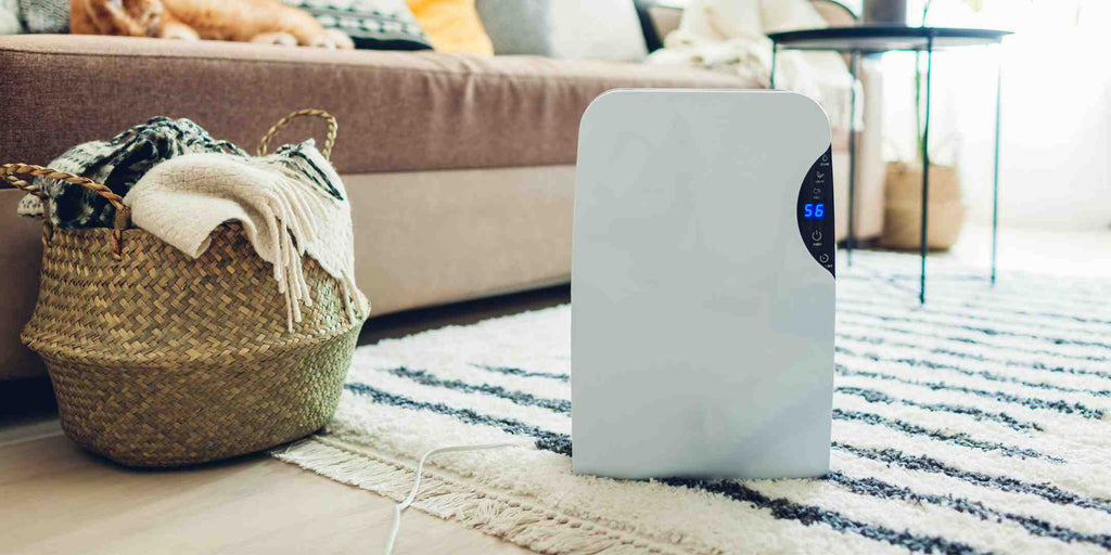 Bonus Treat: Hacks To Get The Most of Your Dehumidifier