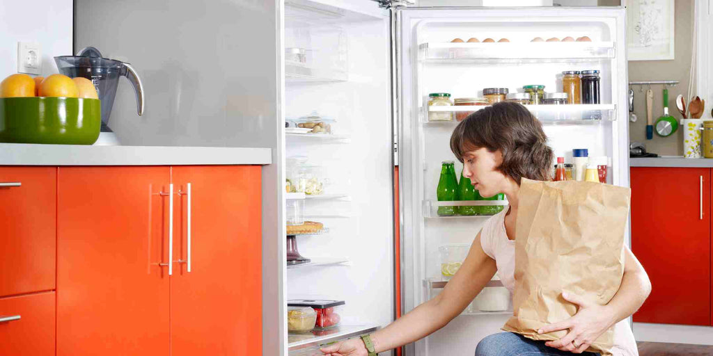 Understanding The Refrigerators’ Inverter Technology