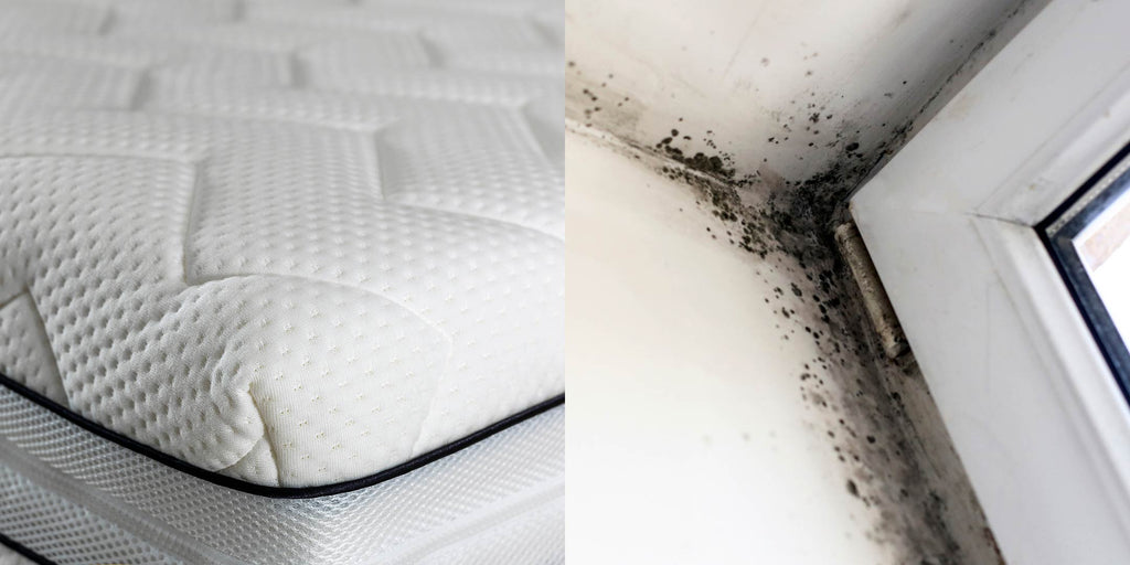 Mould on Other Parts of Your Bedroom