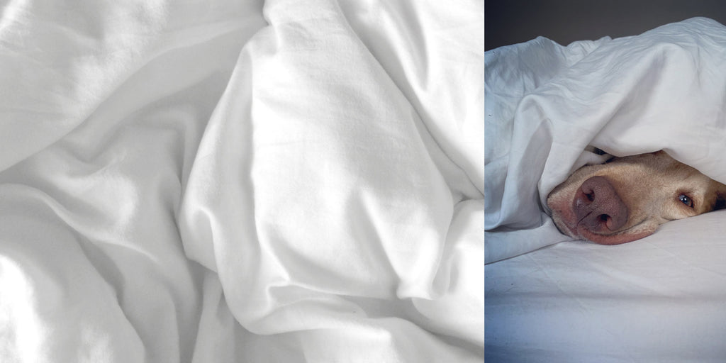 What is a Duvet Cover?