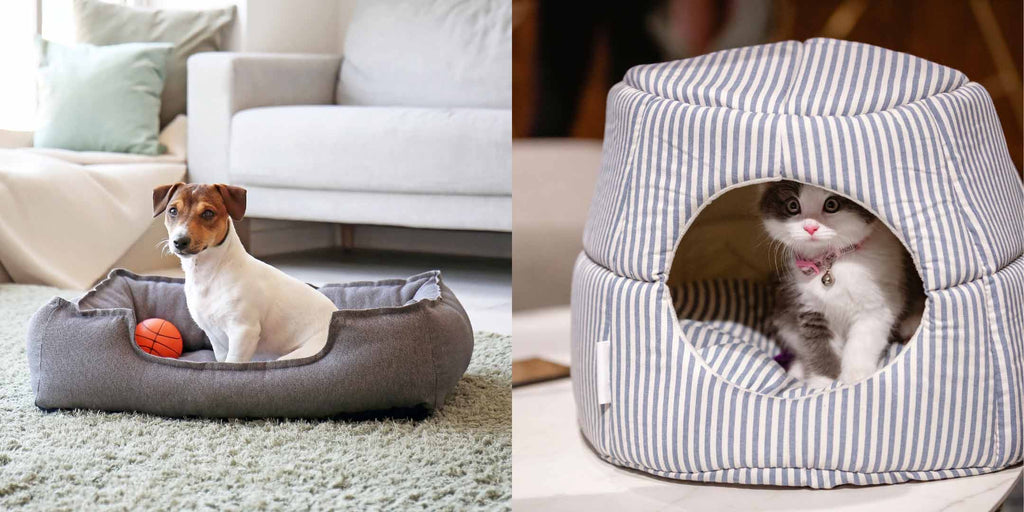 Give Your Pet a Separate Bed