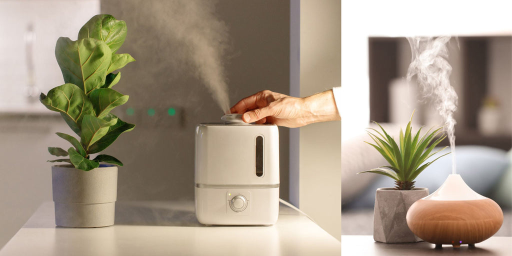 Humidifier vs Diffuser  Differences Between Humidifier & Diffuser