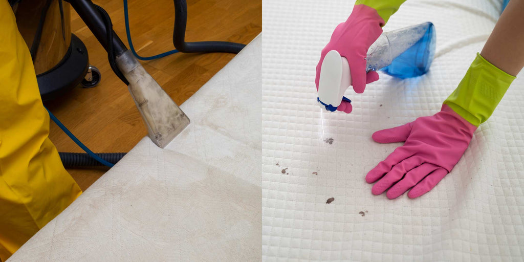 Step-by-Step Guide to Removing Mould on Your Mattress