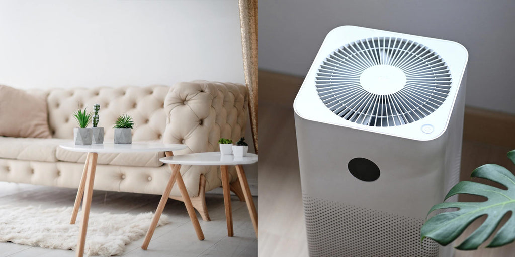 Invest in a Good Air Purifier