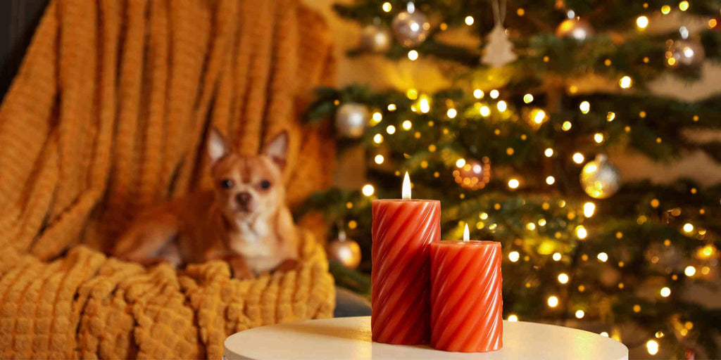 Sniff Around with Christmas Scents