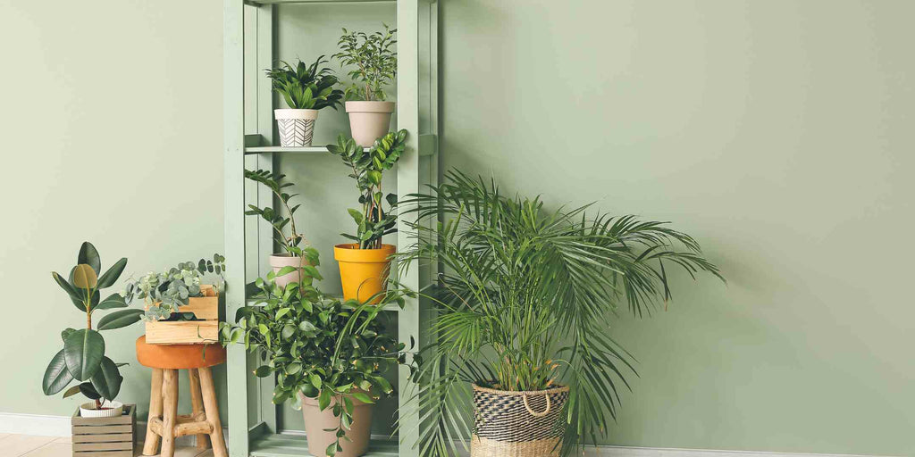 Photograph showcasing indoor plants in rattan planters and other sustainable decor items, symbolising the role of renovation services in promoting sustainable living through green technology. The image highlights the benefits of incorporating natural elements and eco-friendly materials in home decor, enhancing both aesthetics and air quality.