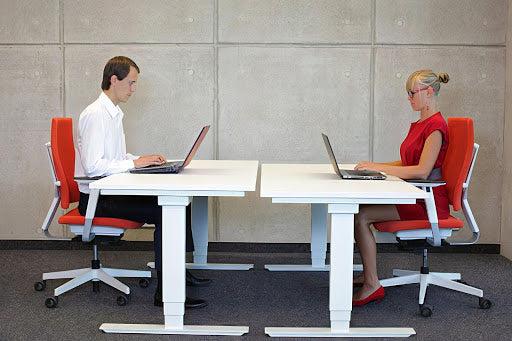 Two People Sitting Straight on Office Chairs