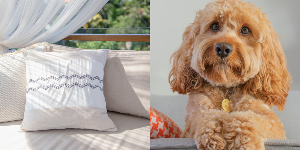 pet-friendly outdoor sofa fabric