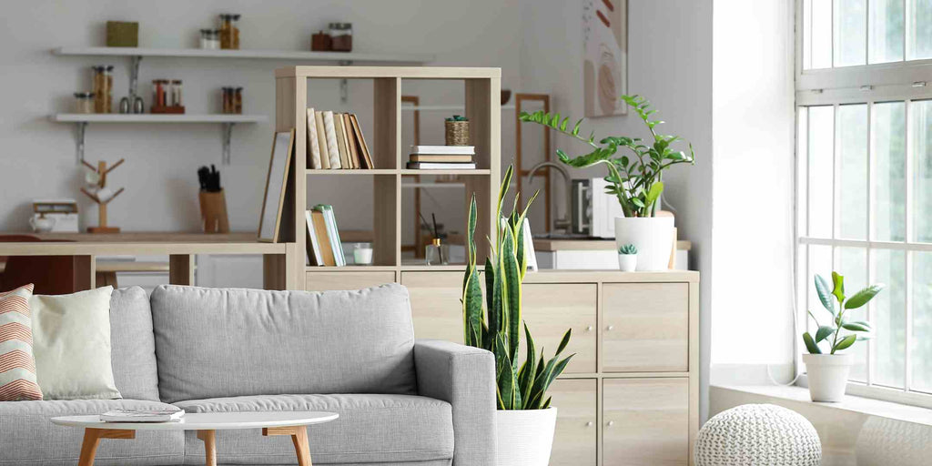 Scandinavian living room with bookshelf