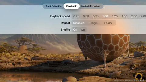 PlayerXtreme Media Player for iPad