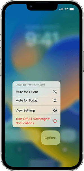 ios17 iphone15 pro manage notifications