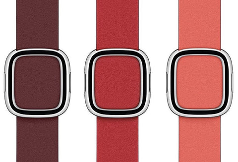 apple watch series Modern Buckle band