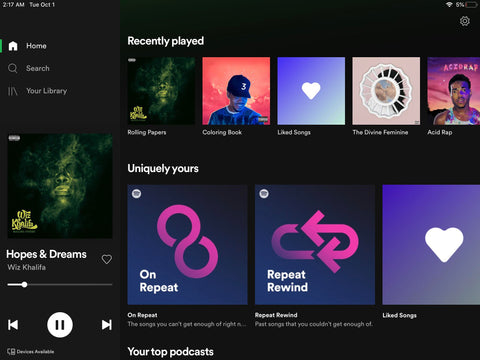 Spotify Musikplayer auf dem iPad