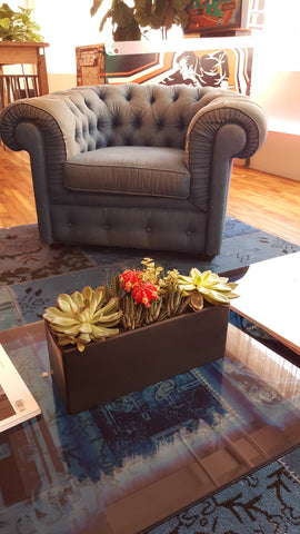 succulent rectangle delivery nyc
