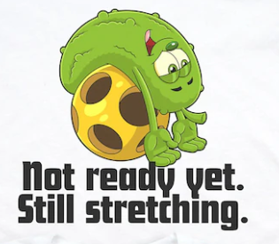 T-Shirt PICKLEBALL Not Ready Yet, Still Stretching tshirt Medium, Med, M