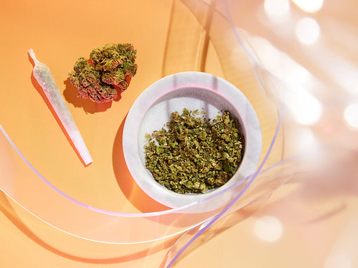 Everything You Need To Know About Buying Cannabis Online