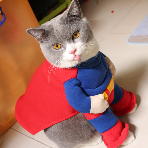 2016-New-arrivals-pet-clothes-Muscle-Superman-cat-clothes_480x480.jpg