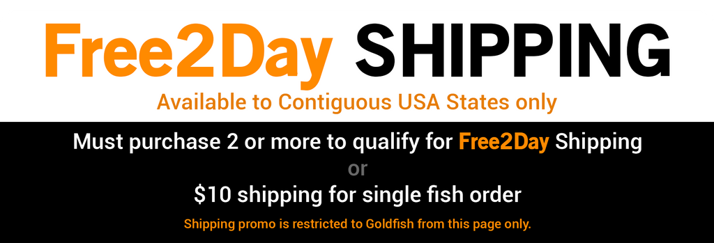 Goldfish Free2Day Shipping